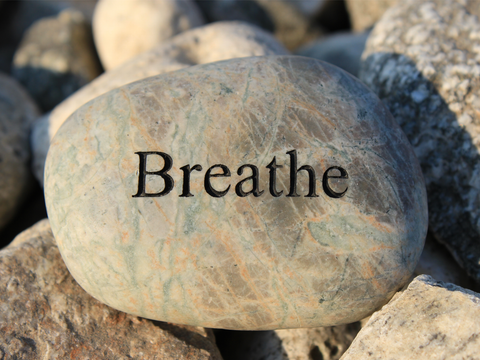 Movement & Meditation | Parkinson's