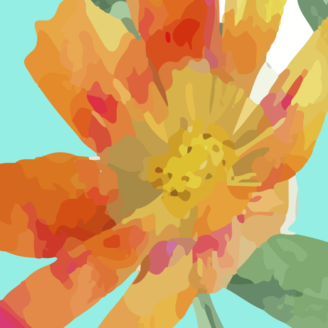 Yoga Classes for Beginners